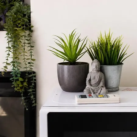 Apartment Teona Old Town *